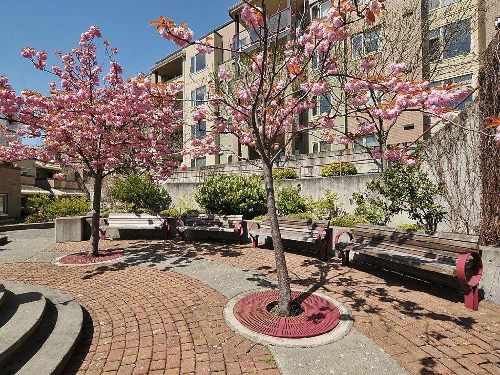 Deluxe 2 Bed, 2 Bath, 5 Min Walk To Downtown And Seawalk Apartment Victoria Exterior photo